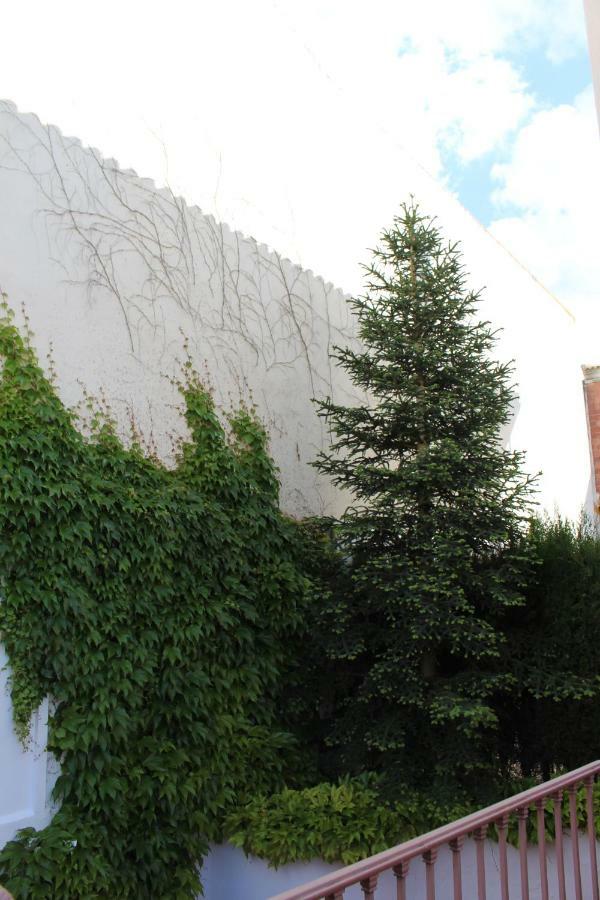 Villa Rural El Campillo de Rodalquilar Exteriör bild